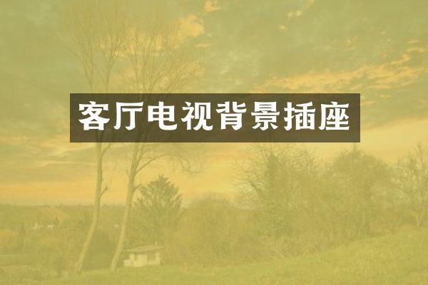 客厅电视背景插座