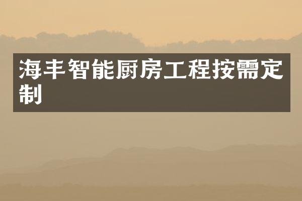 海丰智能厨房工程按需定制