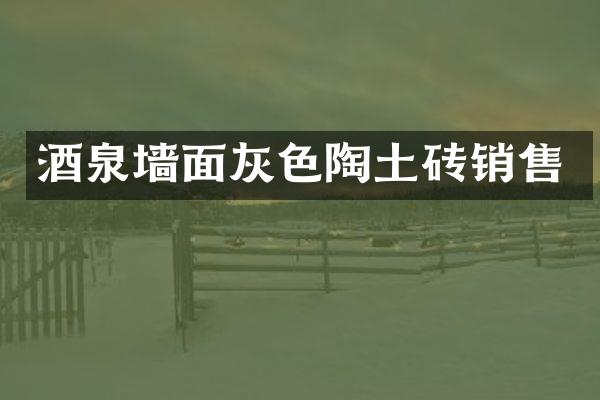 酒泉墙面灰色陶土砖销售