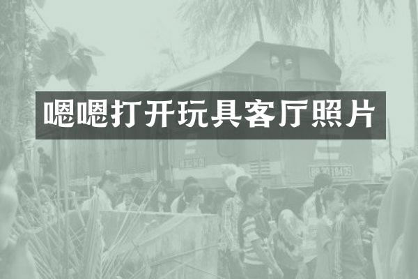 嗯嗯打开玩具客厅照片