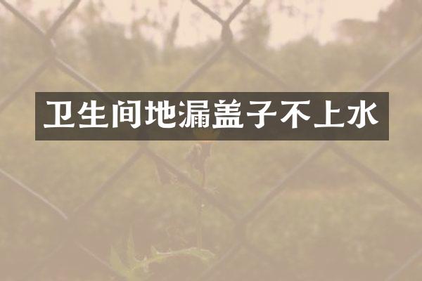 卫生间地漏盖子不上水