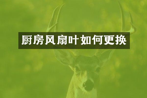 厨房风扇叶如何更换