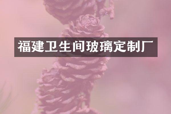 福建卫生间玻璃定制厂