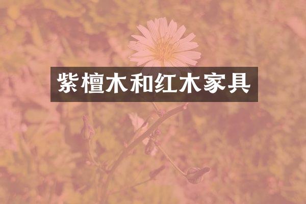 紫檀木和红木家具