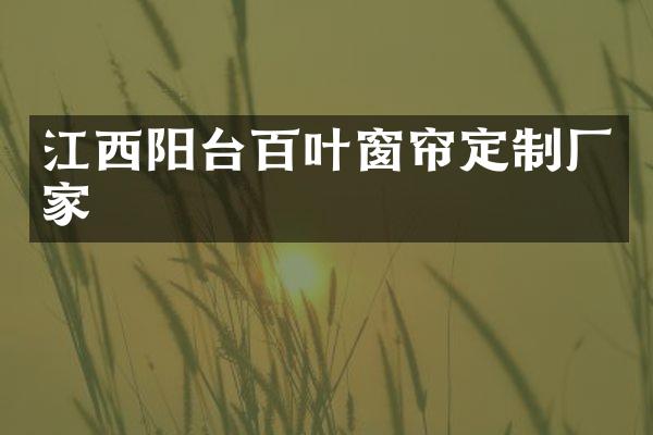 江西阳台百叶窗帘定制厂家