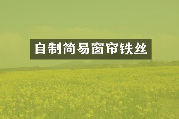 自制简易窗帘铁丝