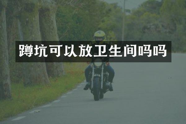 蹲坑可以放卫生间吗吗