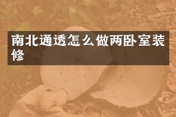 南北通透怎么做两卧室装修