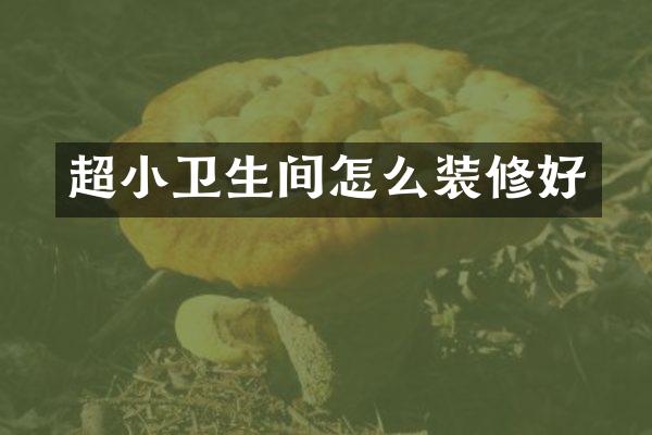 超小卫生间怎么装修好