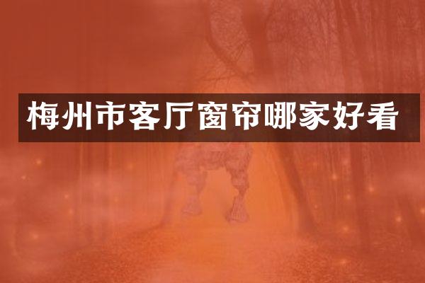 梅州市客厅窗帘哪家好看