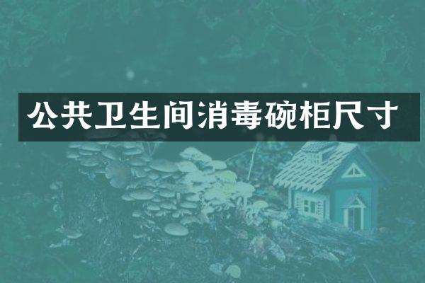 公共卫生间消毒碗柜尺寸