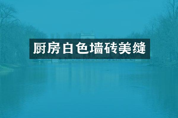 厨房白色墙砖美缝