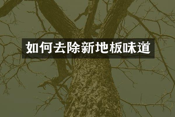 如何去除新地板味道