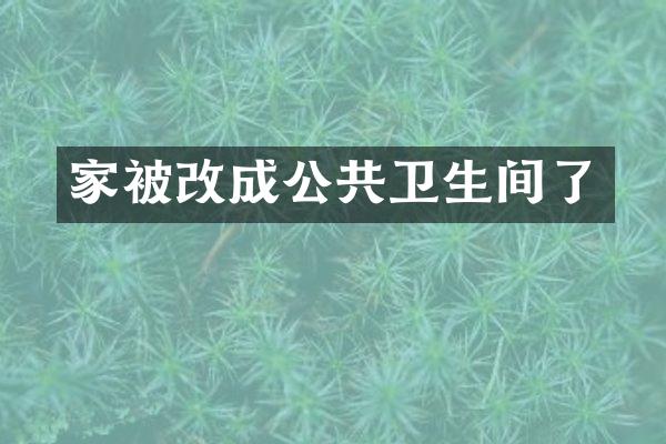 家被改成公共卫生间了
