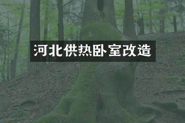 河北供热卧室改造