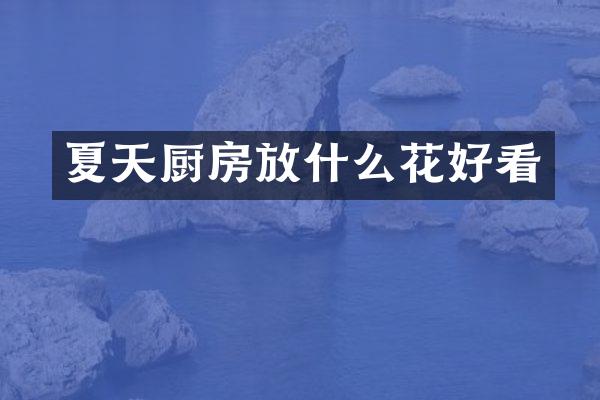 夏天厨房放什么花好看