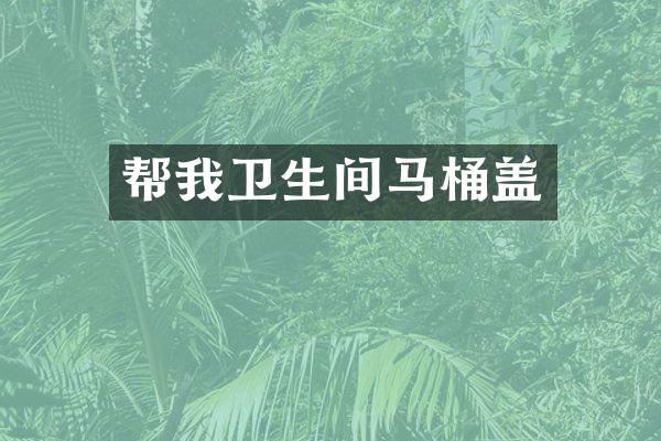 帮我卫生间马桶盖