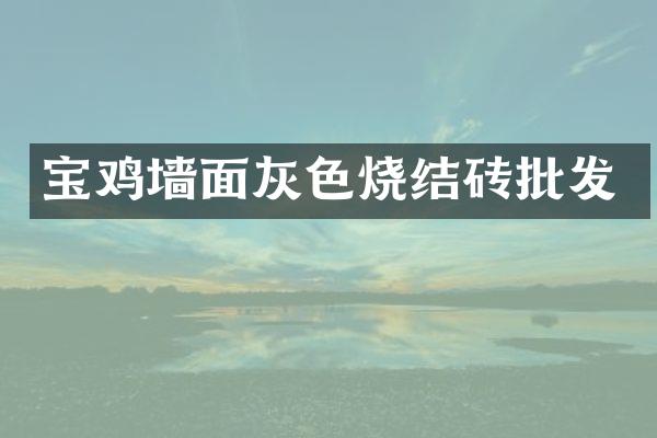 宝鸡墙面灰色烧结砖批发