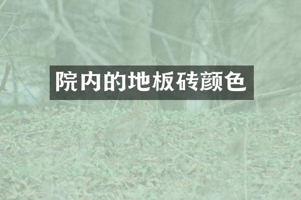 院内的地板砖颜色