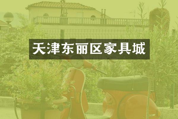 天津东丽区家具城