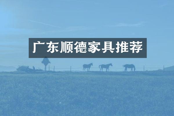 广东顺德家具推荐