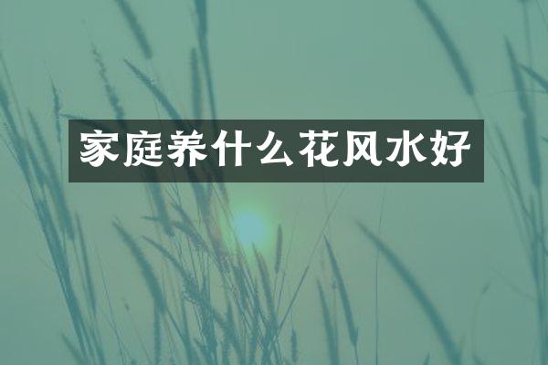 家庭养什么花风水好