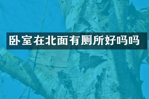 卧室在北面有厕所好吗吗