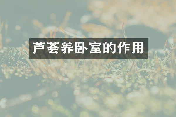 芦荟养卧室的作用