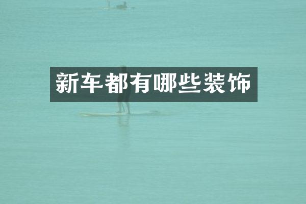 新车都有哪些装饰