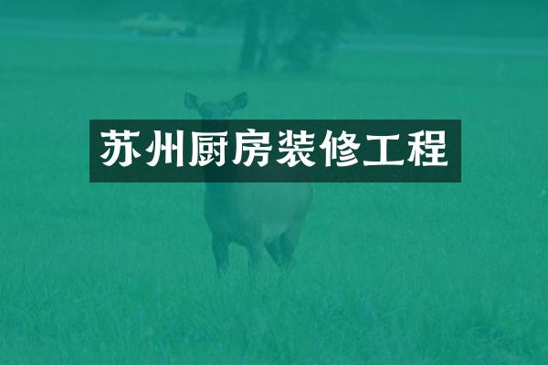 苏州厨房装修工程