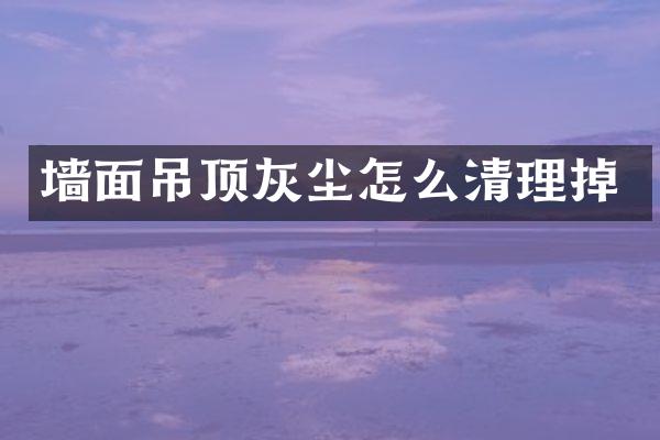 墙面吊顶灰尘怎么清理掉
