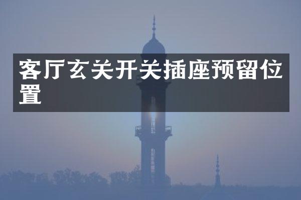 客厅玄关开关插座预留位置