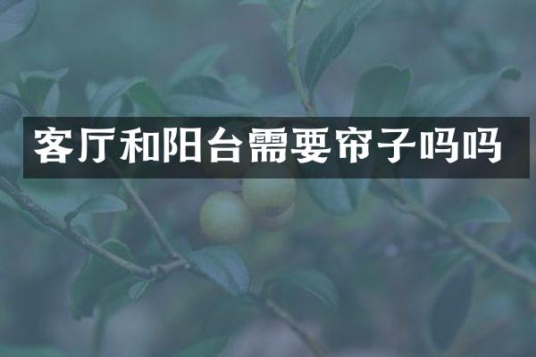 客厅和阳台需要帘子吗吗