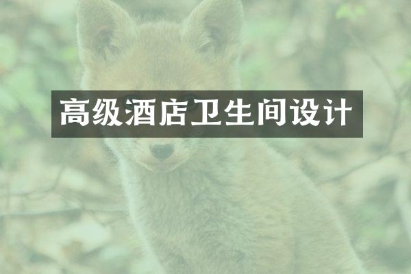 高级酒店卫生间设计