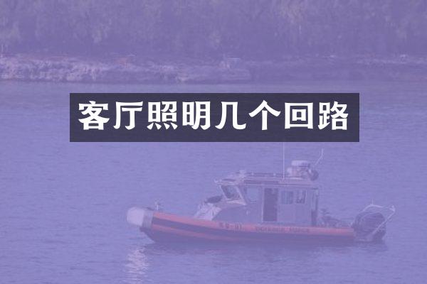 客厅照明几个回路