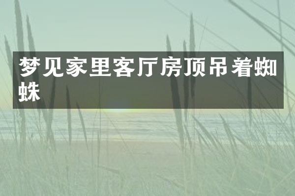 梦见家里客厅房顶吊着蜘蛛