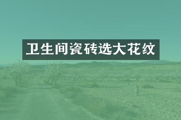 卫生间瓷砖选大花纹