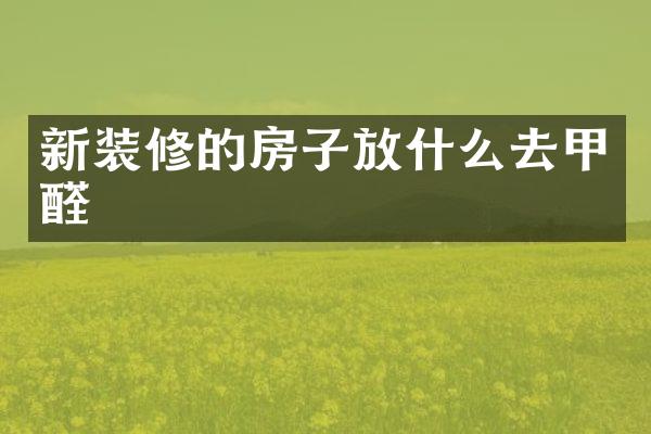 新装修的房子放什么去甲醛
