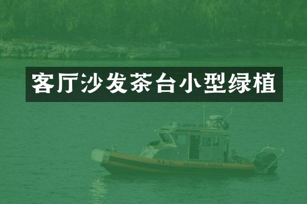 客厅沙发茶台小型绿植