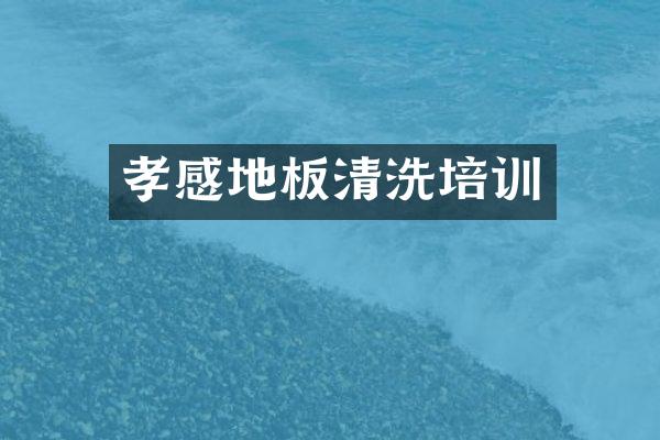 孝感地板清洗培训