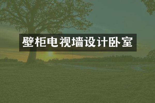 壁柜电视墙设计卧室