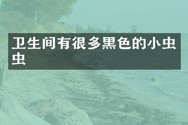 卫生间有很多黑色的小虫虫