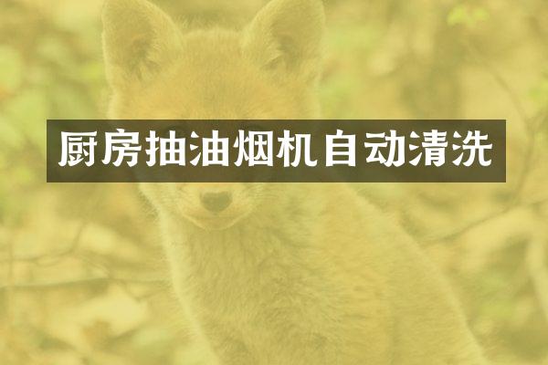 厨房抽油烟机自动清洗
