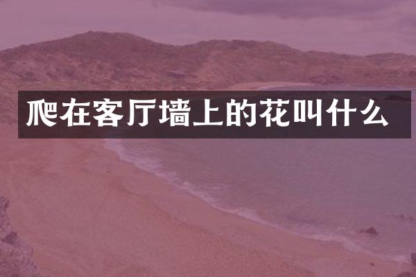 爬在客厅墙上的花叫什么