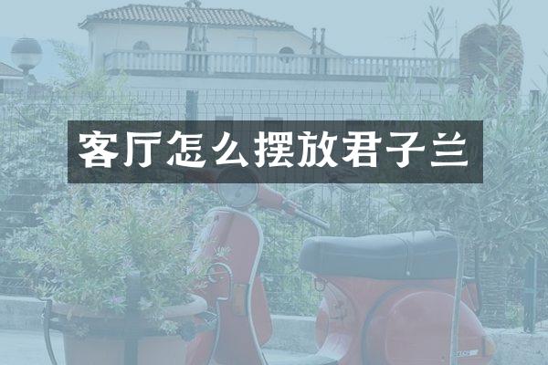 客厅怎么摆放君子兰