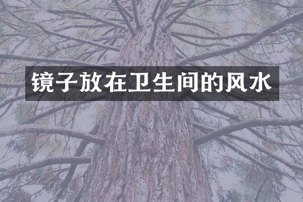 镜子放在卫生间的风水