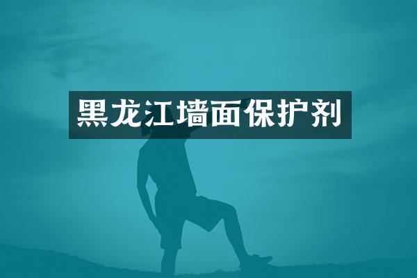 黑龙江墙面保护剂