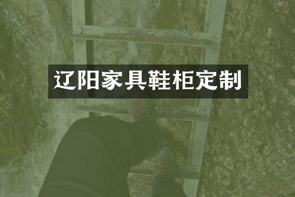 辽阳家具鞋柜定制