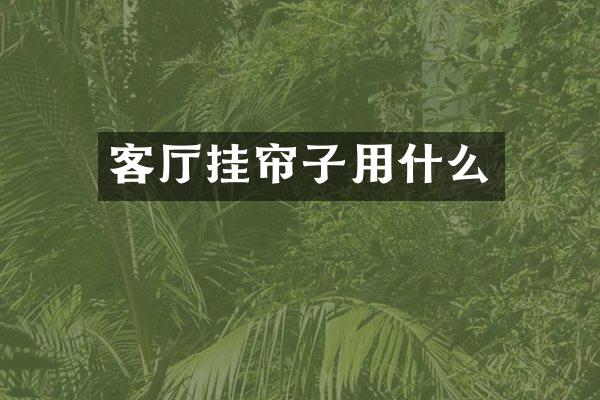 客厅挂帘子用什么