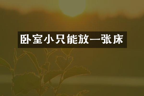 卧室小只能放一张床
